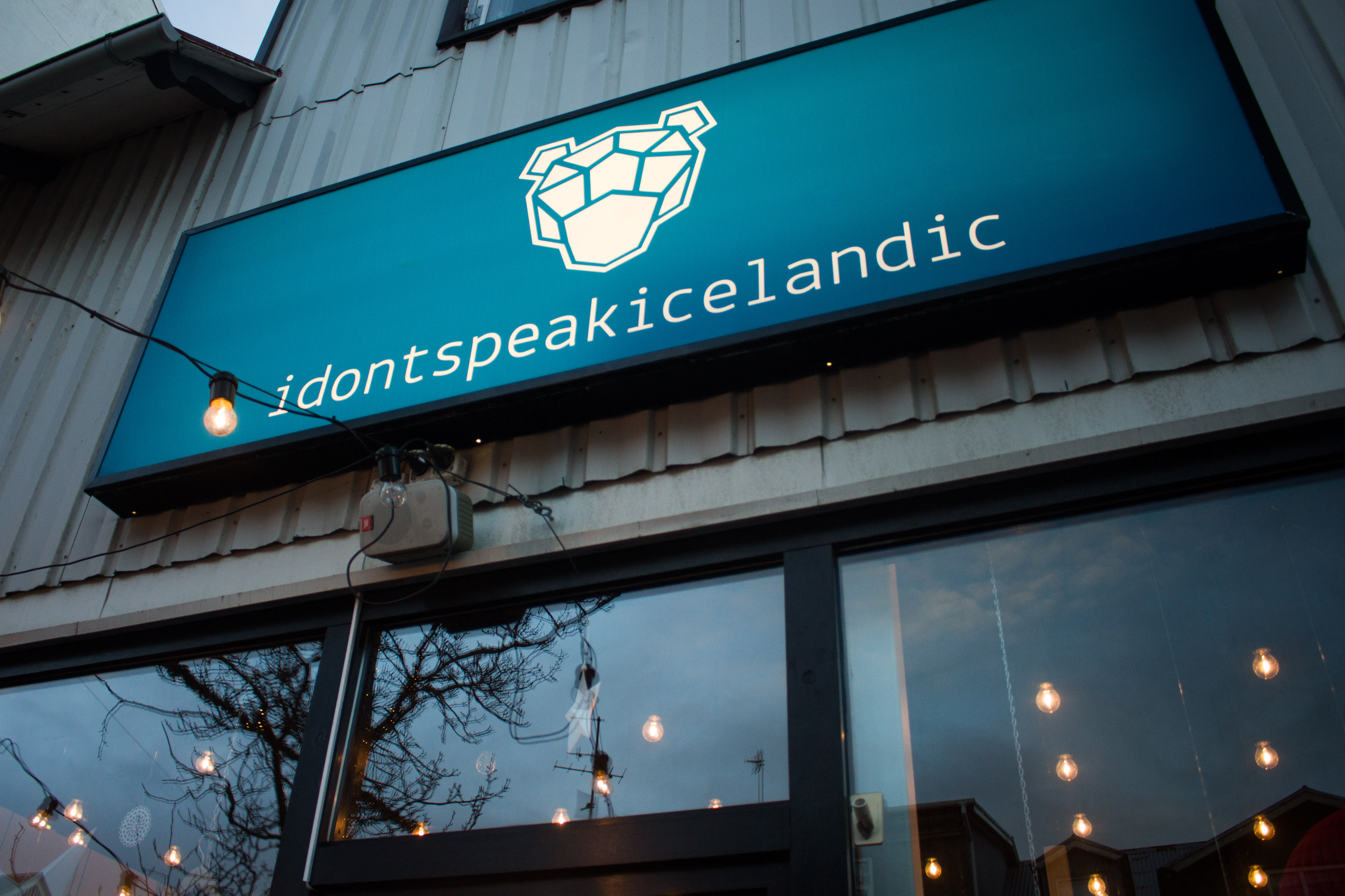 Reykjavik – Day 2