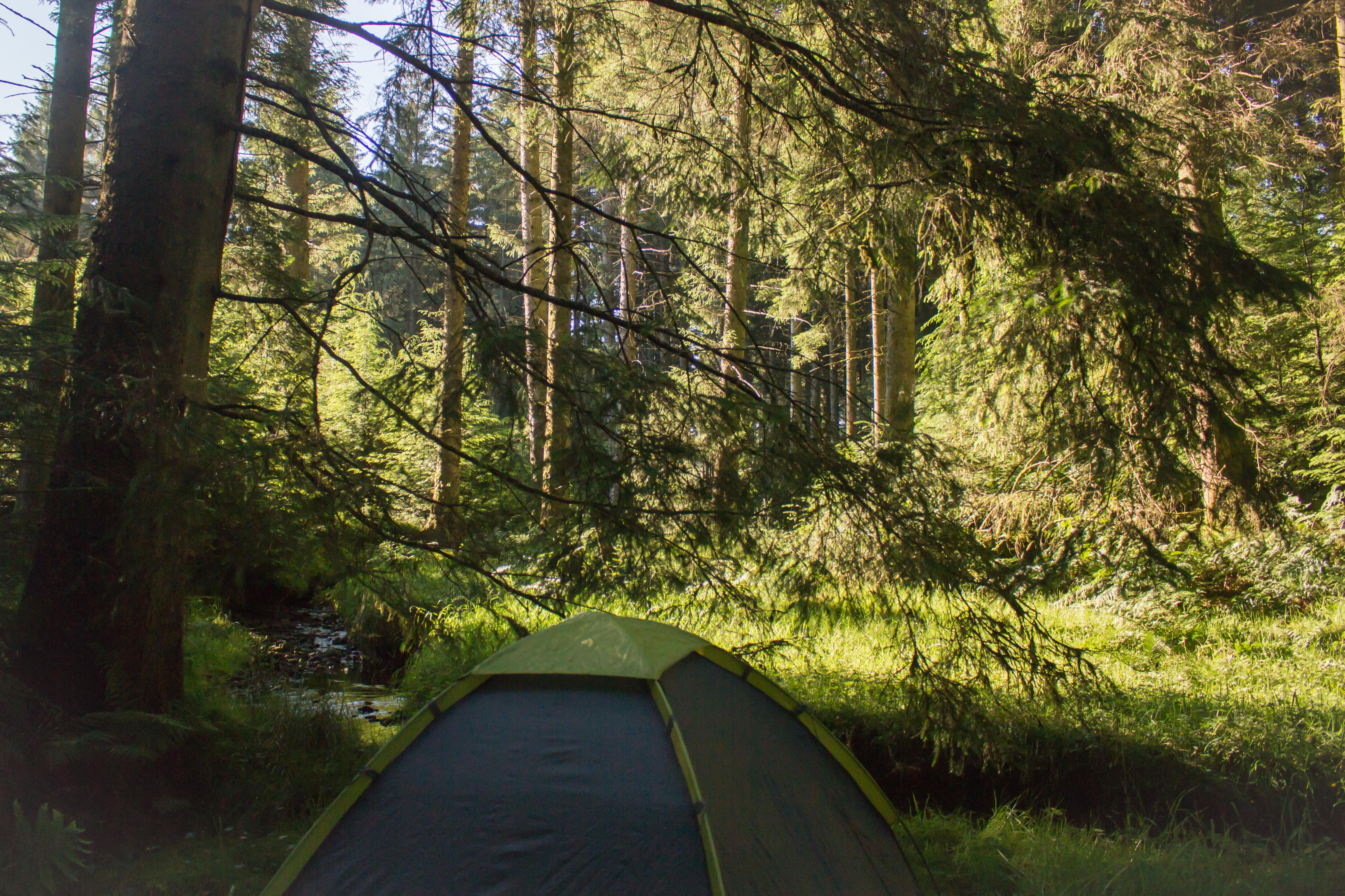 Camping in Dumfries