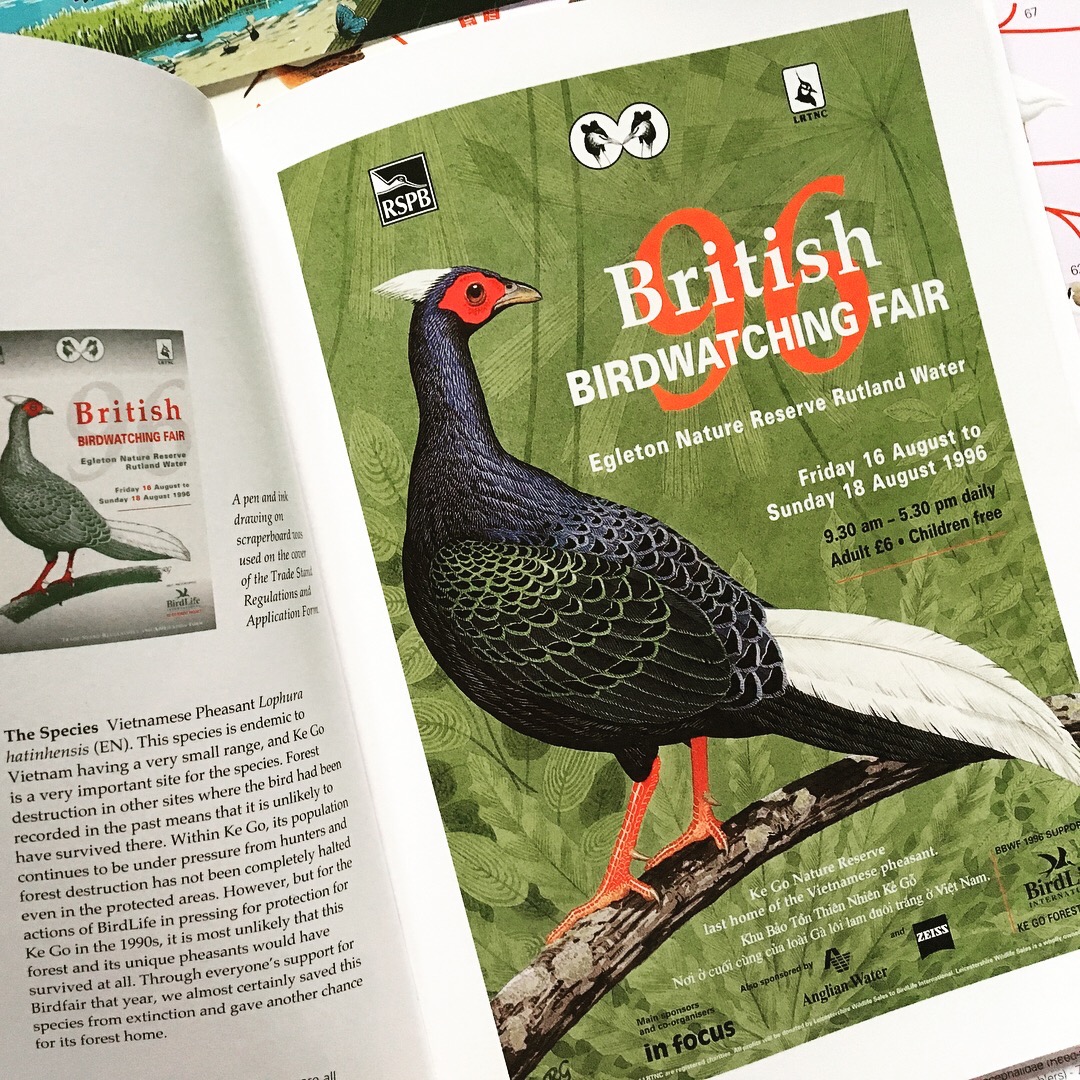 Birdfair 2017