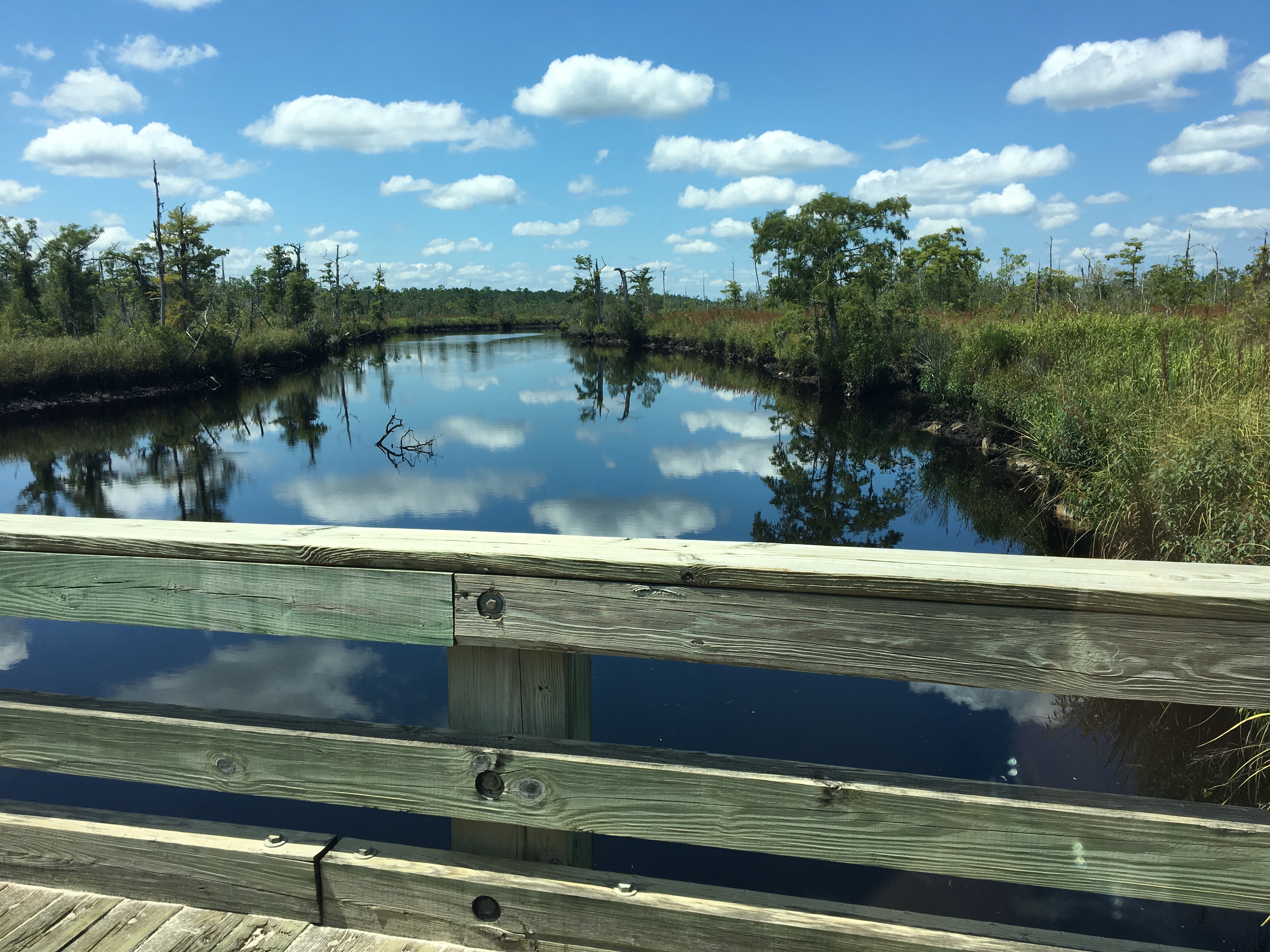 Landing in the Sunshine State