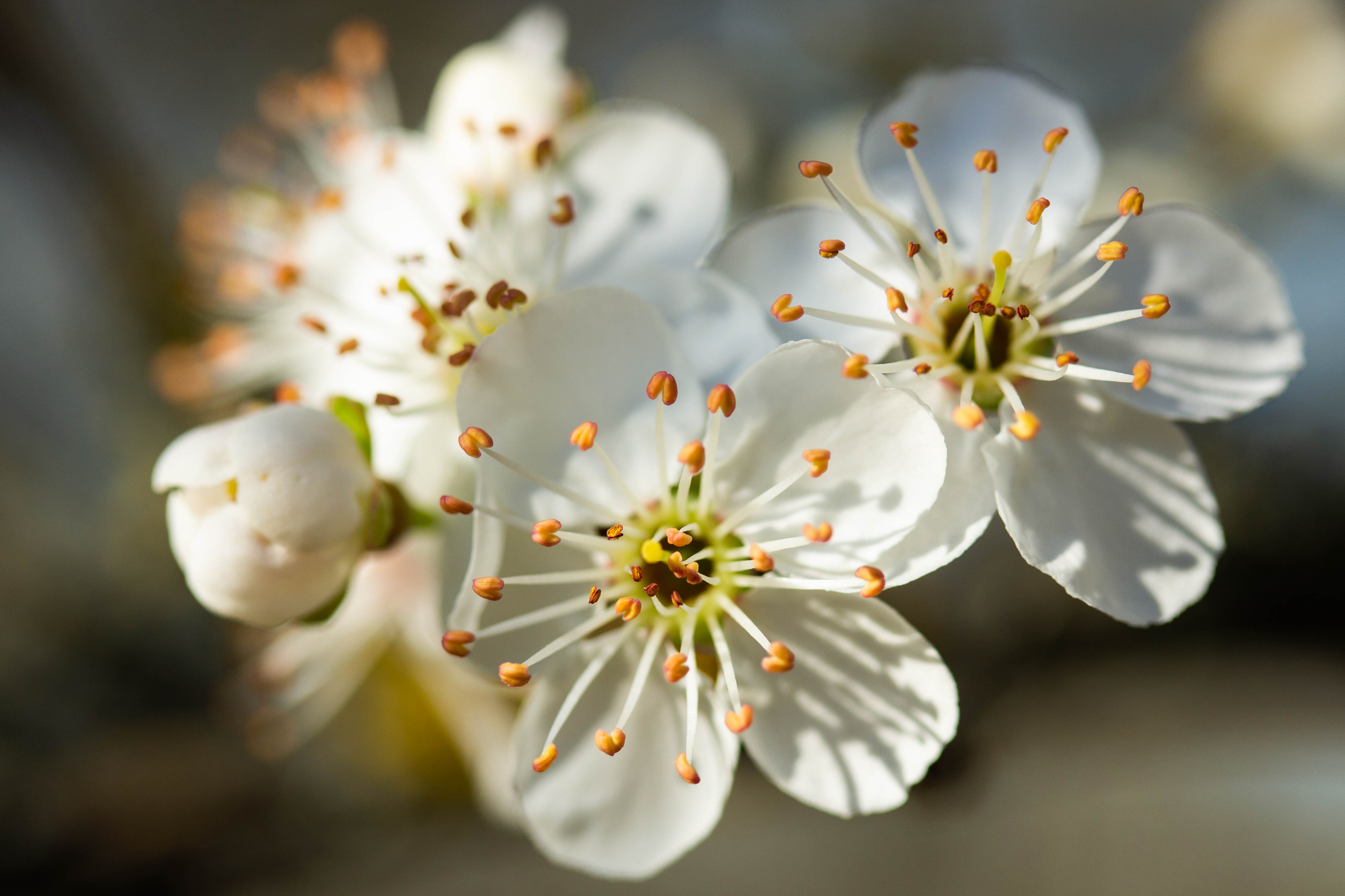 An Unscheduled Spring