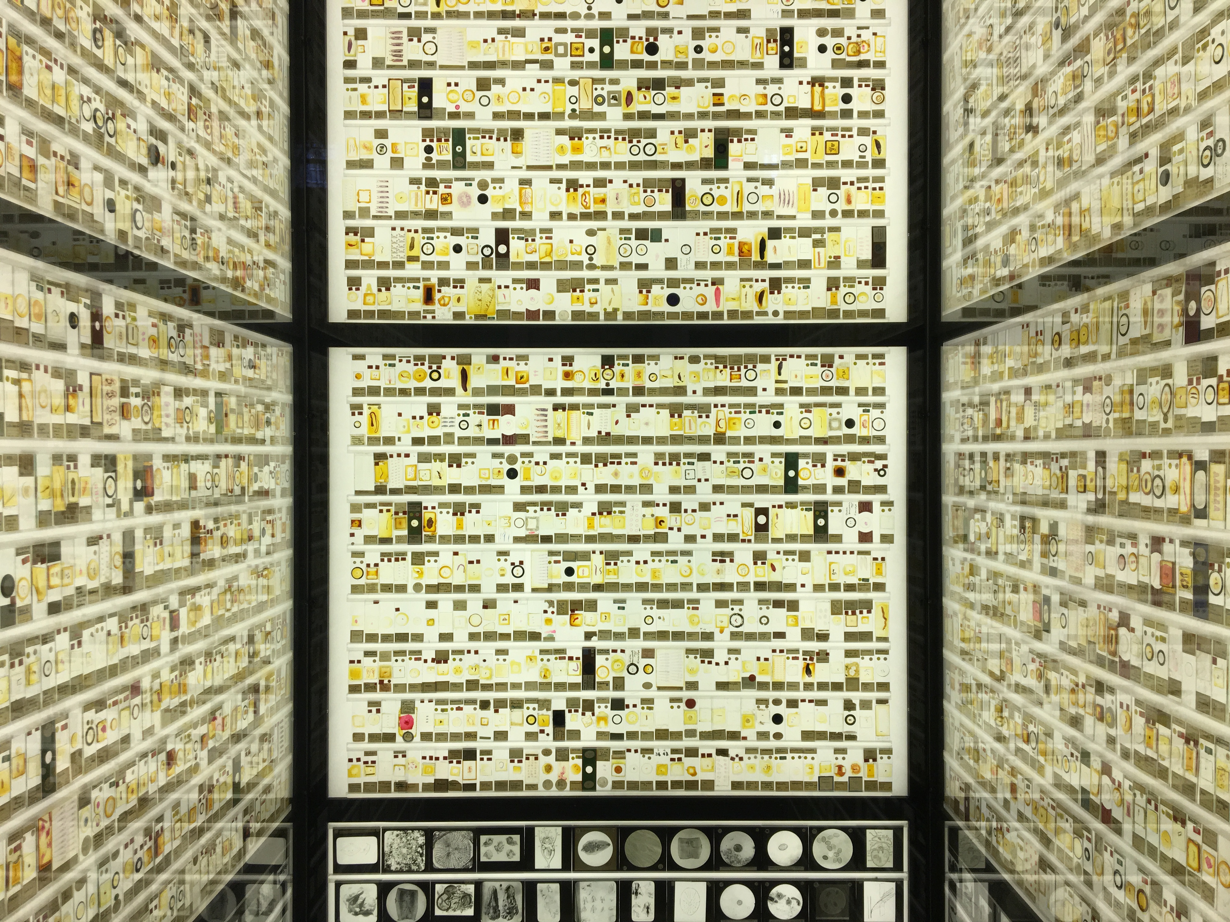 Micrarium