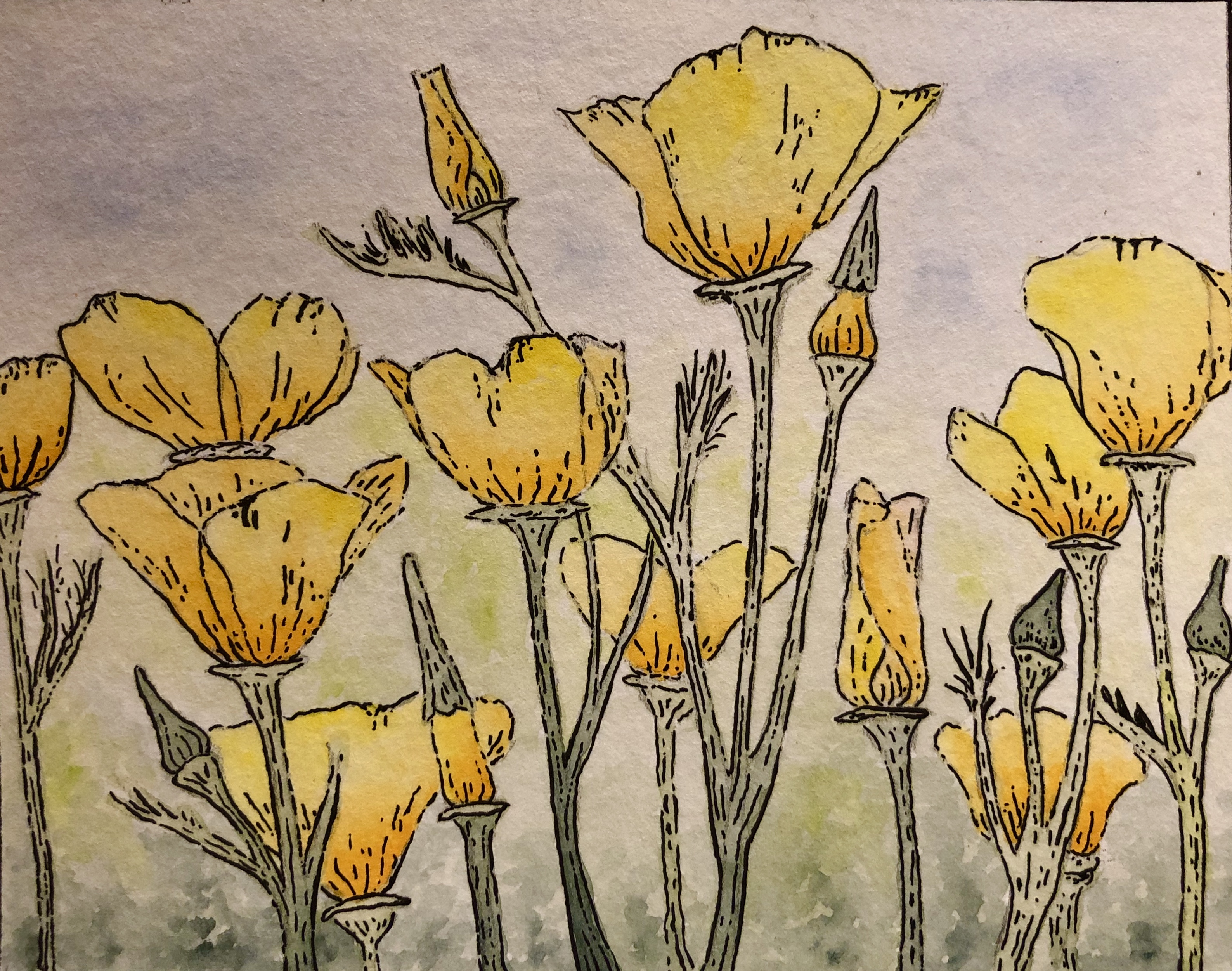 Nature Journal