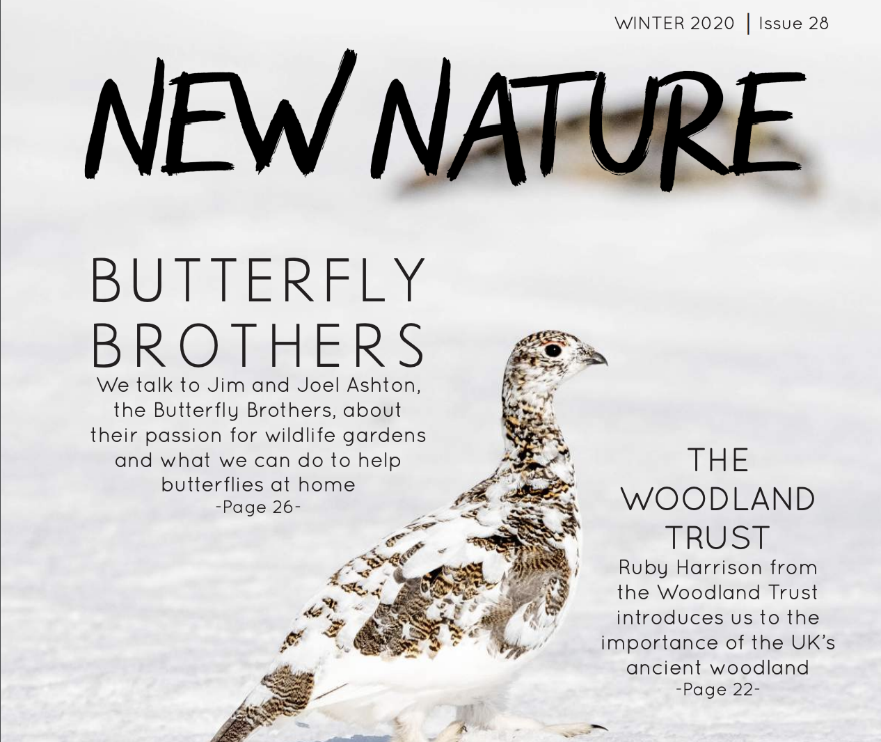 Screenshot 2020-01-28 at 10.31.26