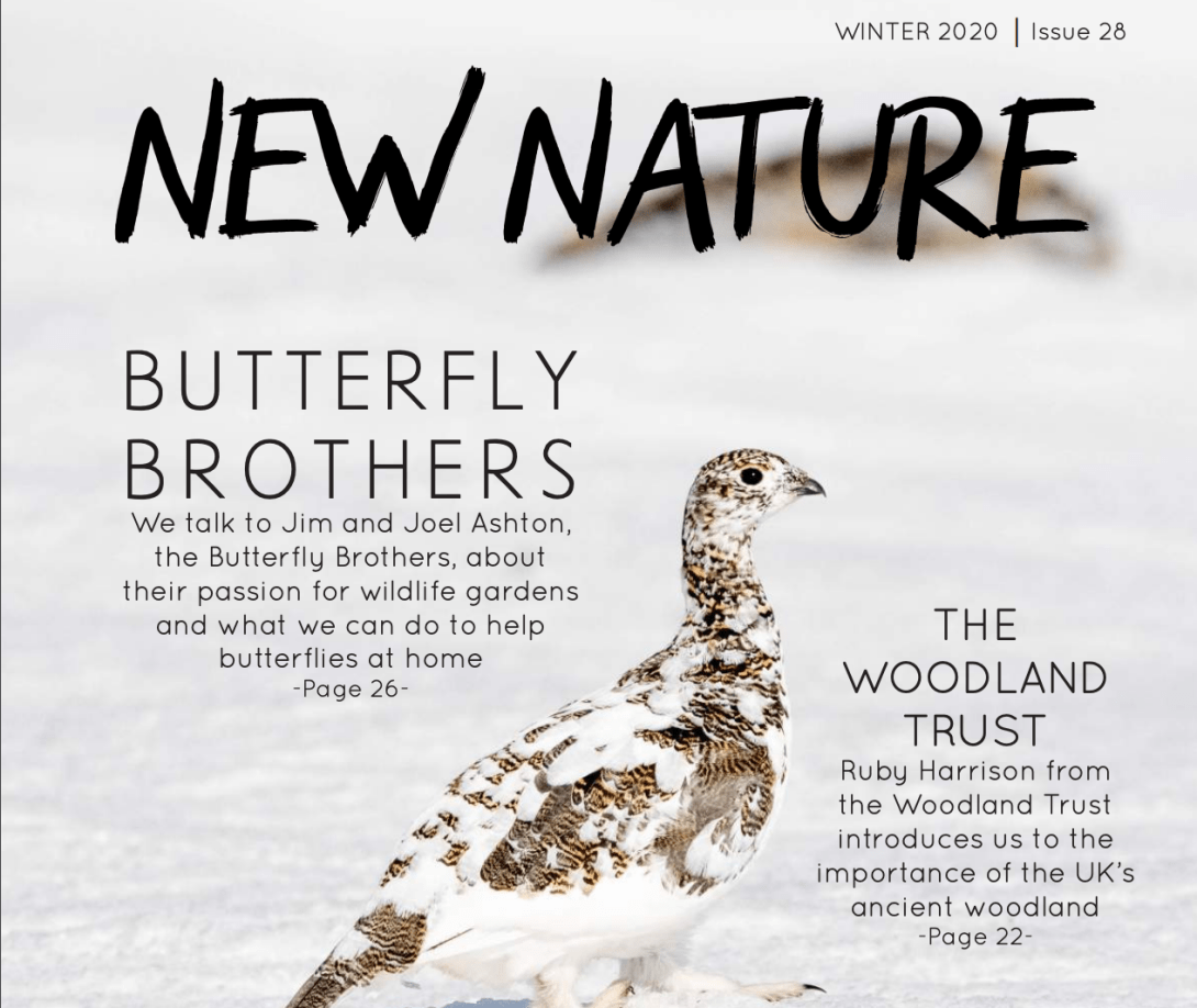 Screenshot 2020-01-28 at 10.31.26