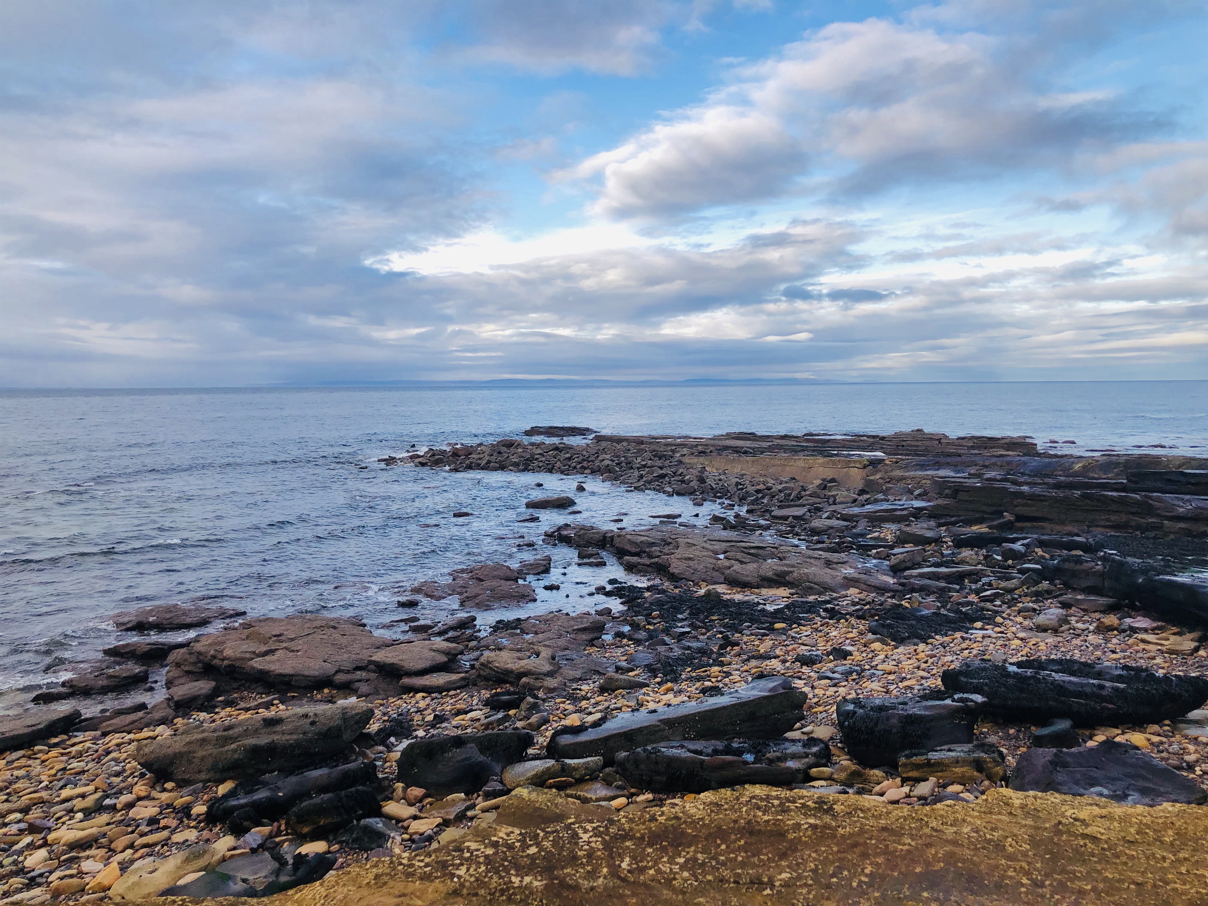 Shorewatch