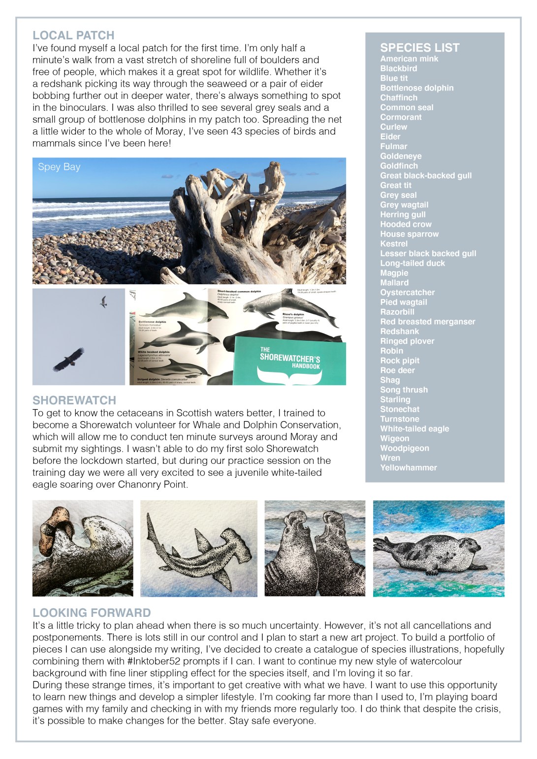 Newsletter Jan to March 2020 2