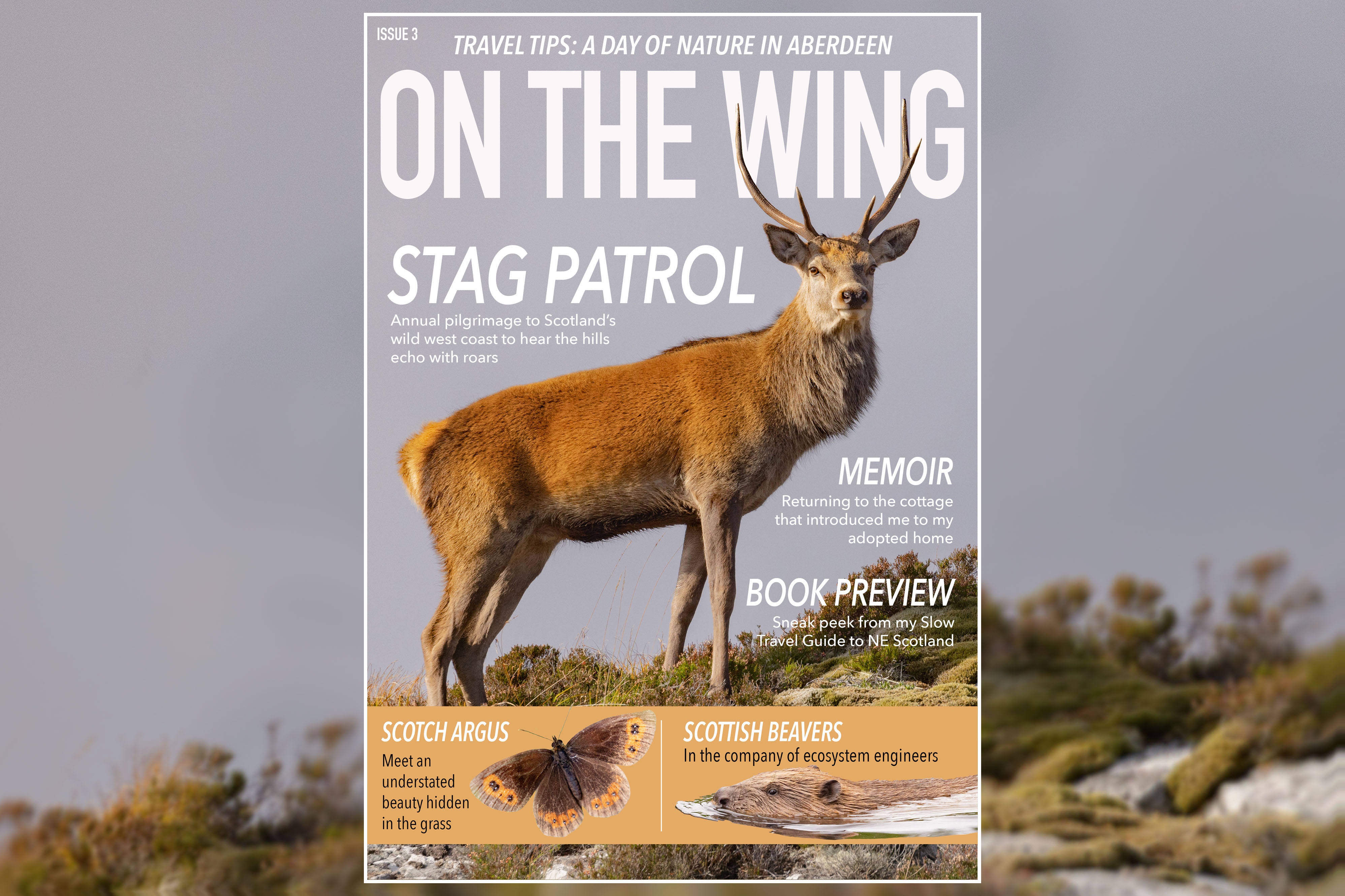 On The Wing Magazine III