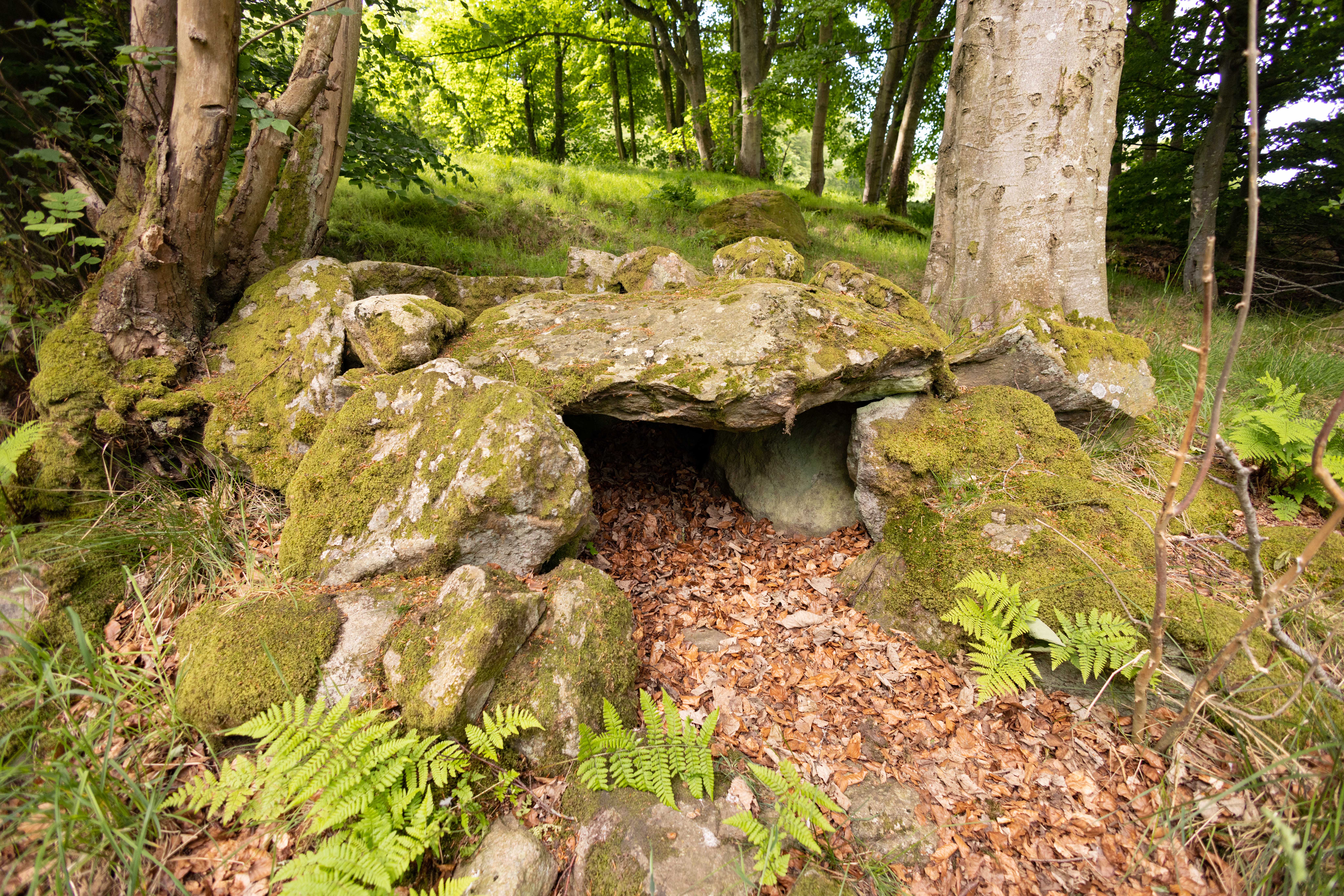 Nature Spots in Aberdeen
