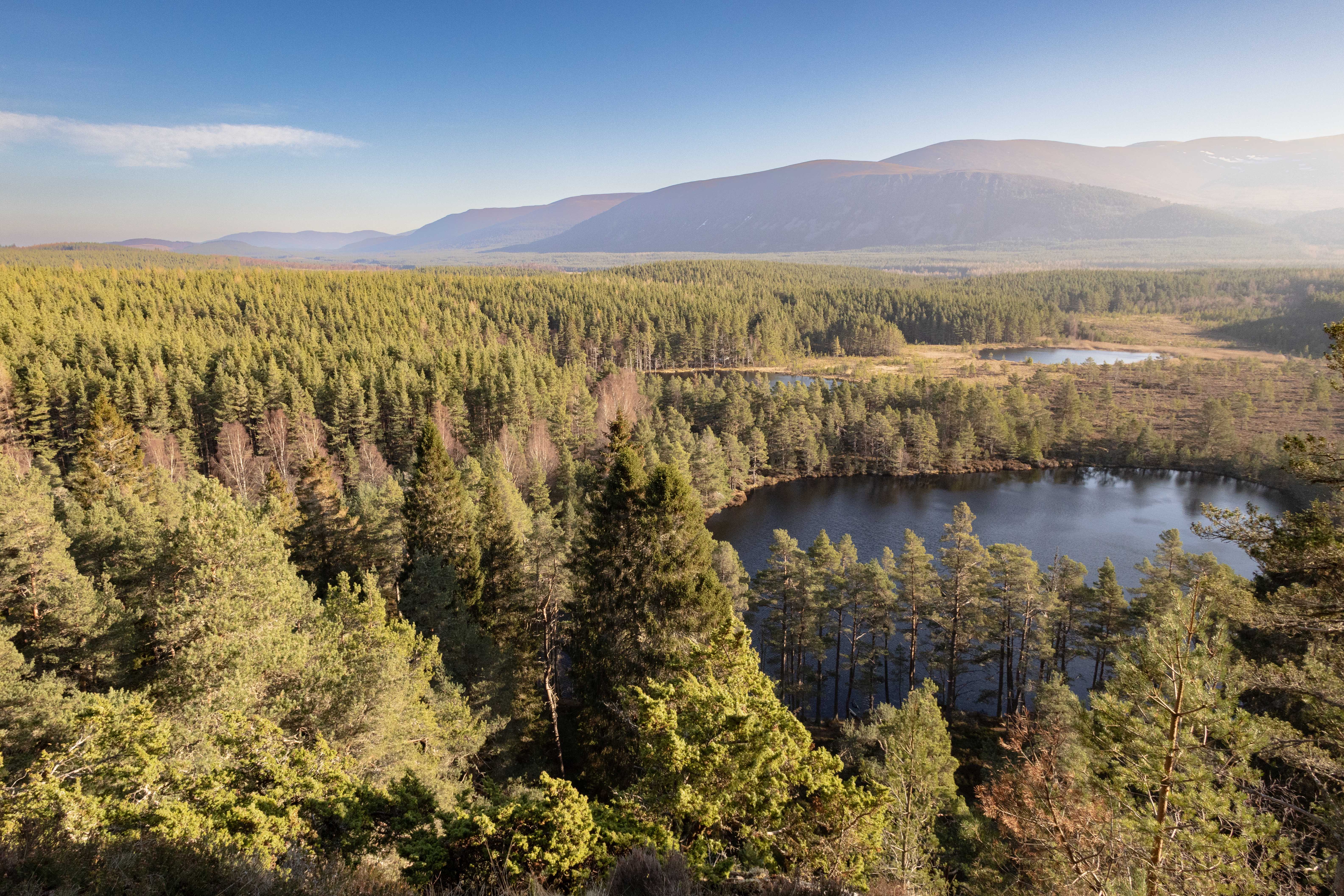 Lochans and Carved Faces
